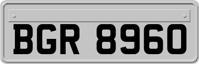 BGR8960