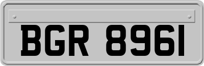 BGR8961