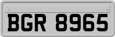 BGR8965