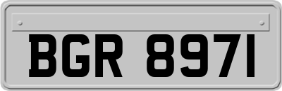 BGR8971
