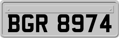 BGR8974