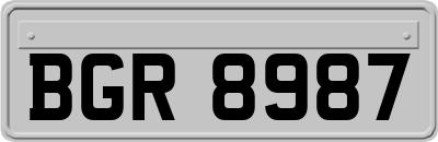 BGR8987