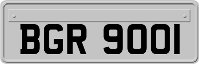 BGR9001