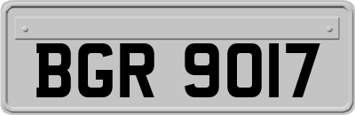 BGR9017