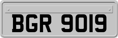 BGR9019