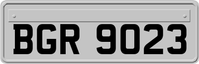 BGR9023