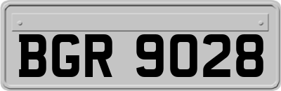 BGR9028