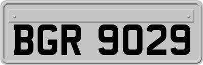 BGR9029
