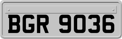 BGR9036