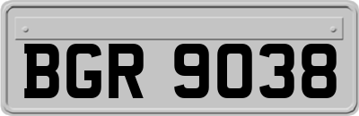 BGR9038