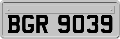 BGR9039