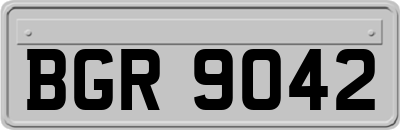 BGR9042