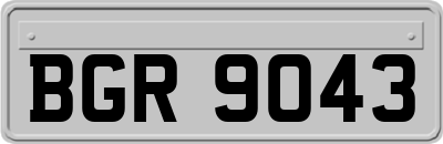 BGR9043