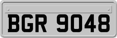 BGR9048