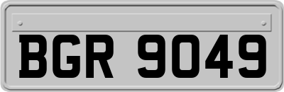 BGR9049