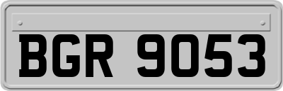 BGR9053