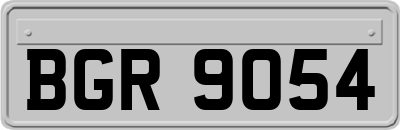 BGR9054