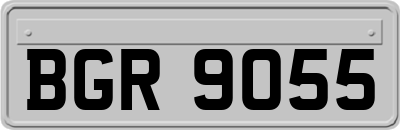 BGR9055