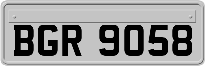 BGR9058
