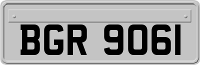 BGR9061
