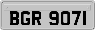 BGR9071