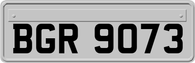 BGR9073