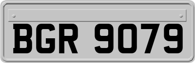 BGR9079