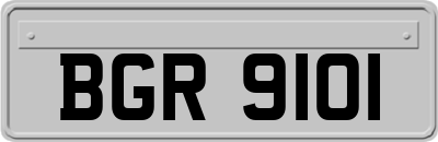 BGR9101