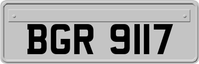 BGR9117