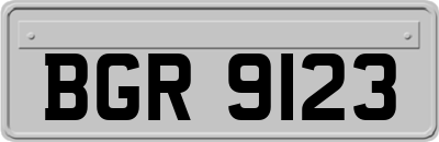 BGR9123
