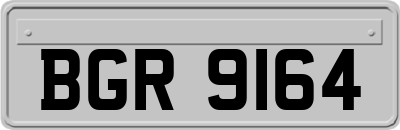 BGR9164