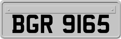 BGR9165