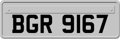 BGR9167