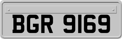 BGR9169