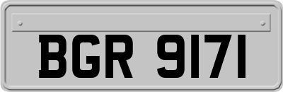 BGR9171