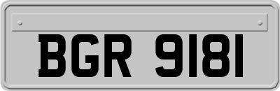 BGR9181