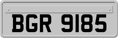 BGR9185
