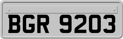 BGR9203