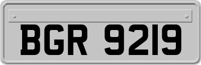 BGR9219