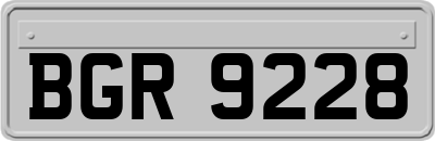 BGR9228
