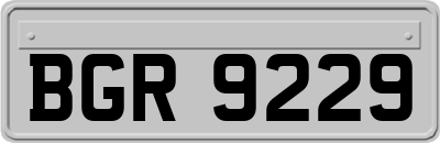 BGR9229
