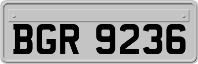 BGR9236