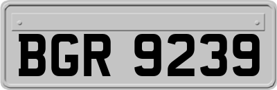 BGR9239