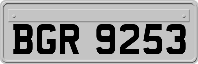 BGR9253