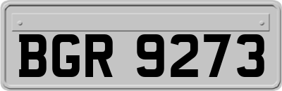 BGR9273