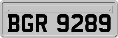 BGR9289
