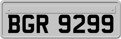 BGR9299