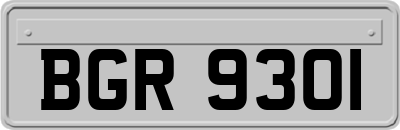BGR9301