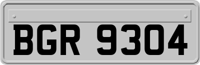 BGR9304