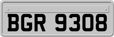 BGR9308